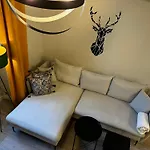 Jelonka * Jelenia Góra