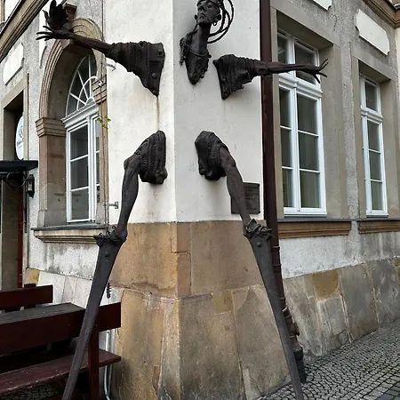 Jelonka