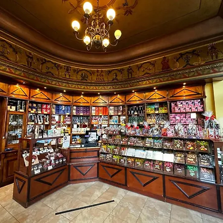 Jelonka شقة يلينيا غورا