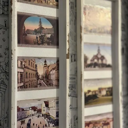 Jelonka شقة يلينيا غورا